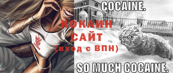 соль ск Балабаново