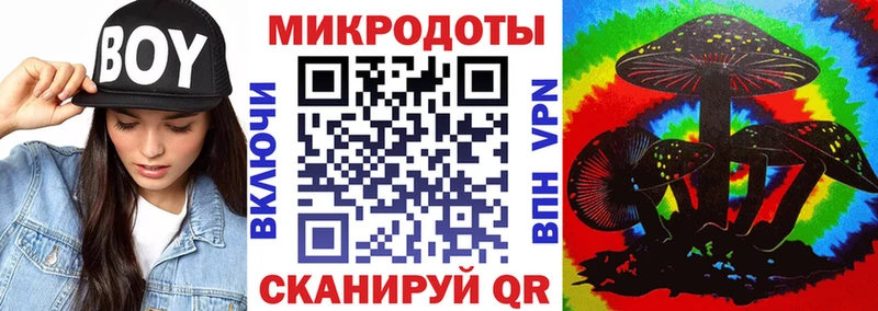 дарк нет телеграм  Ладушкин  Галлюциногенные грибы GOLDEN TEACHER  хочу наркоту 