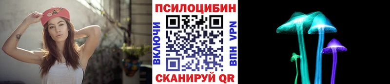 Псилоцибиновые грибы MAGIC MUSHROOMS Ладушкин